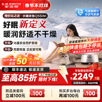 AO史密斯家用双人水暖毯智能电热毯恒温床垫Q5SWi老人婴儿适用
