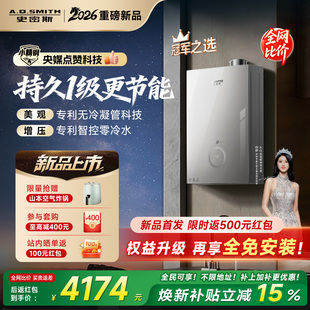 AO史密斯佳尼特无冷凝管16L精钢燃气热水器TJE5 1级能效新品