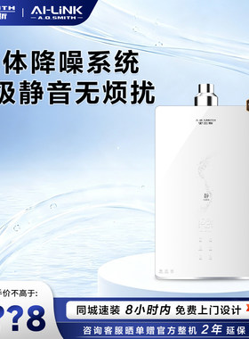史密斯燃气热水器JSQ31-FJSWi