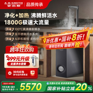 A.O.史密斯佳尼特反渗透RO净热一体净水器蓝鲸2500S2 补贴20%