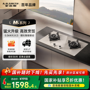 MS系列 AO史密斯灶具5kW大火力燃气灶1级能效钢化玻璃F3B2T家用