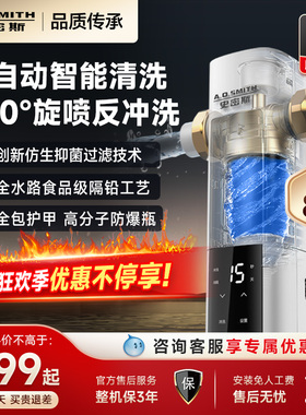 A.O.史密斯 家用自来水过滤器 精钢滤网直冲式前置净水器 PF-DA1