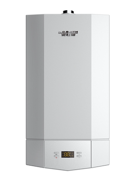 门店在售史密斯壁挂炉20A1