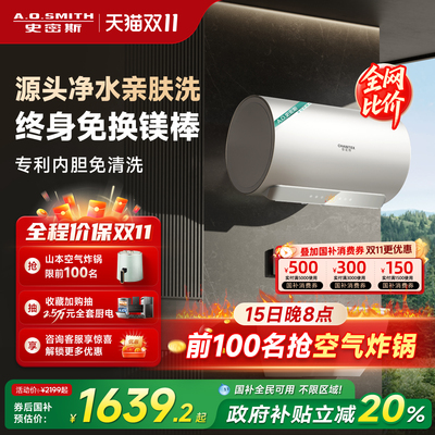 [国补20%]AO史密斯佳尼特电热水器免换镁棒60/80升JC3双棒免清洗