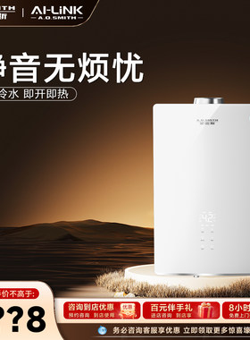 史密斯门店在售燃气热水器VJSAI