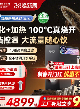 A.O.史密斯佳尼特加热一体家用厨下反渗透蓝鲸RO净水器CDR2000S2
