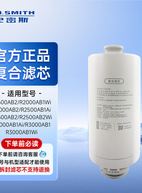 AO史密斯净水机原装滤芯适用于R1600AB2等系列型号