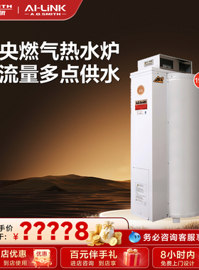 【门店在售】AO史密斯家用燃气中央热水炉落地炉热水器EMGO-50C
