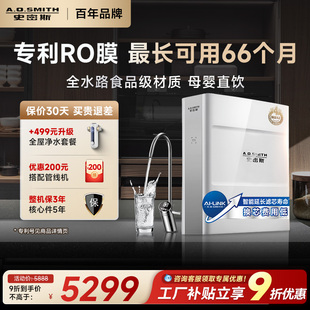 EE饮水机 A.O.史密斯家用厨下大流量高水效直饮净水器R2000FWi