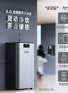【门店在售】AO史密斯商用反渗透净水机直饮净水器 BCR800-H6101