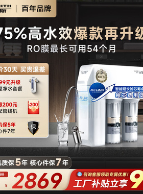A.O.史密斯家用厨下升级直饮厨下大流量反渗透净水器R1600HWi-E