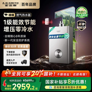 TC3 AO史密斯佳尼特1级能效蓝鲸16升精钢燃气热水器TJ3 国补20%