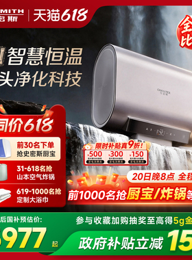 [新品]AO史密斯佳尼特金圭银河电热水器60/80升HT5恒温智能净肤洗