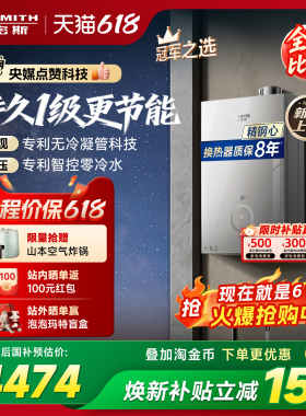 【1级能效新品】AO史密斯佳尼特无冷凝管16L精钢燃气热水器TJE5