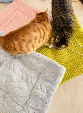 软糯毛绒猫狗垫子保暖舒适宠物窝垫双层秋冬垫子毛茸茸沙发垫