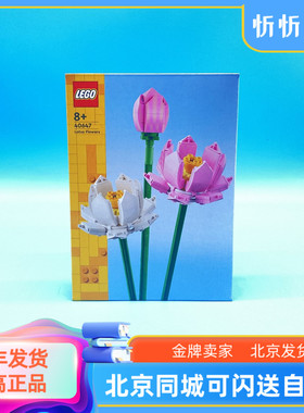 LEGO乐高40647荷花积木玩具益智拼装男女生diy儿童节礼物玩具桌摆