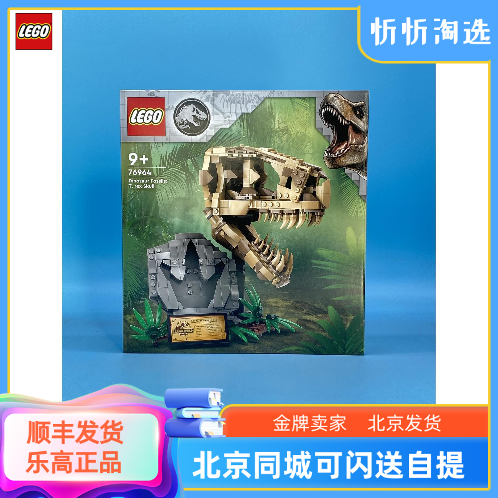 乐高积木玩具霸王龙头骨