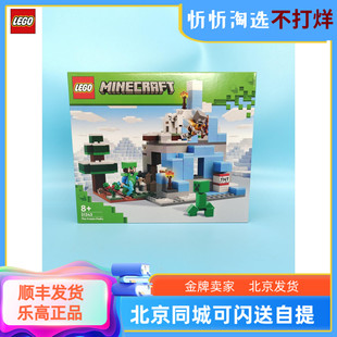 世界系列21243冰封山峰儿童新款 LEGO乐高我 益智拼装 积木玩具