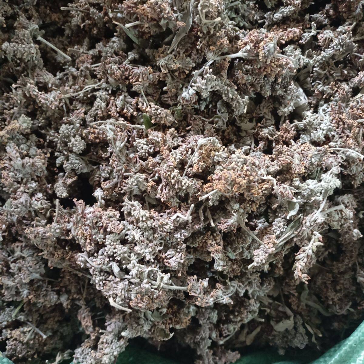 秦岭深山野生密蒙花250克 密蒙花干蜜蒙花染饭花正品 新货
