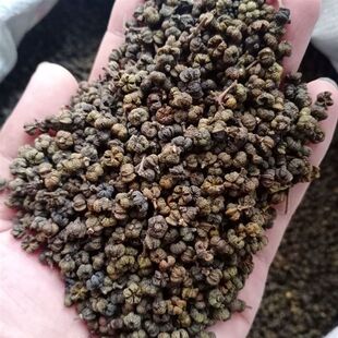 秦岭野生吴茱萸正品新货秋冬进补吴茱萸颗粒天然茶吴萸正品吴茱萸