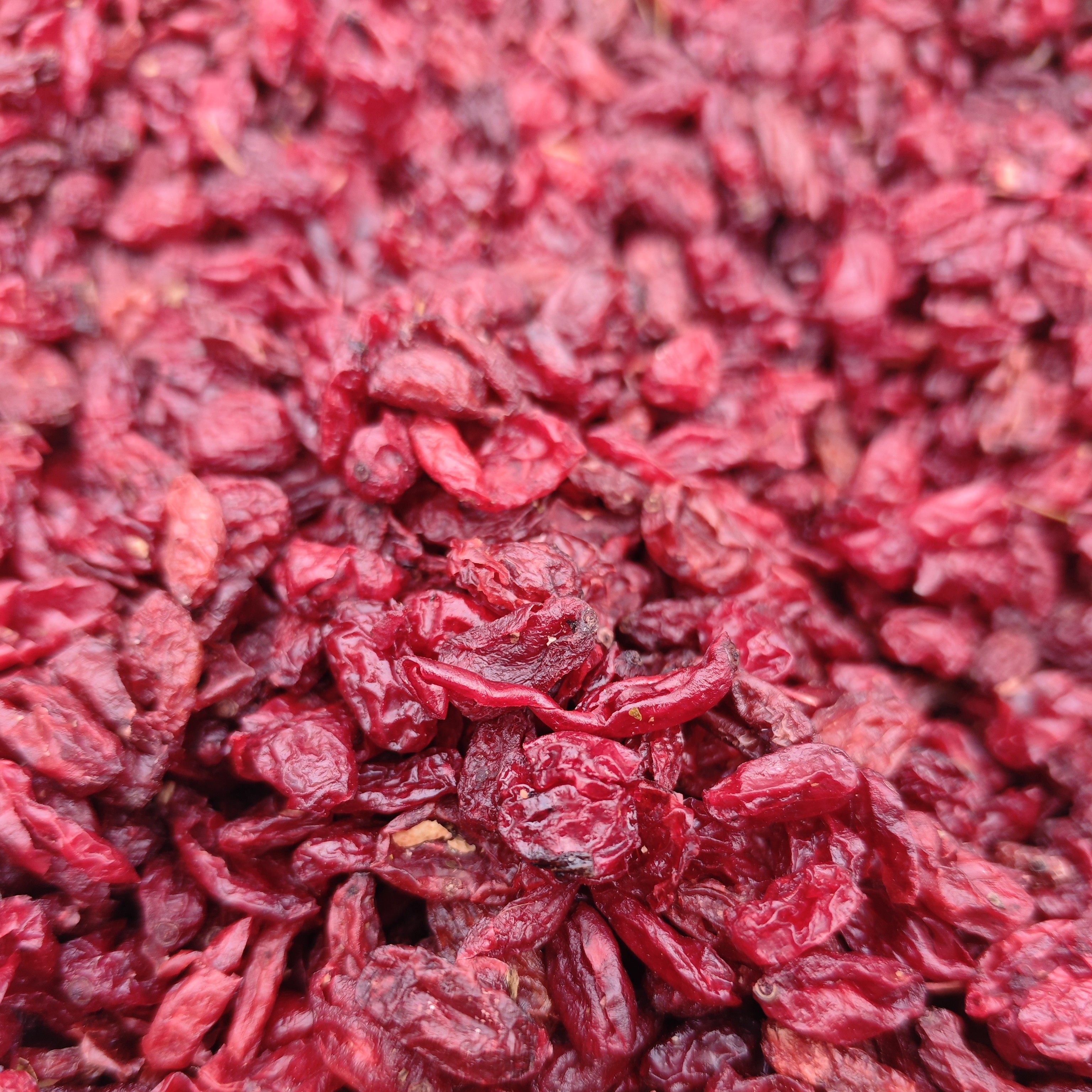 秦岭野生山茱萸肉无杂质无核山茱萸正品枣皮茶山萸肉多规格