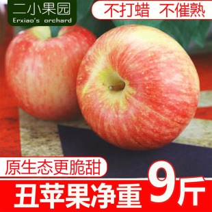 新鲜红富士苹果水果净重9斤 整箱丑平果山西脆甜非冰糖心萍果 包邮