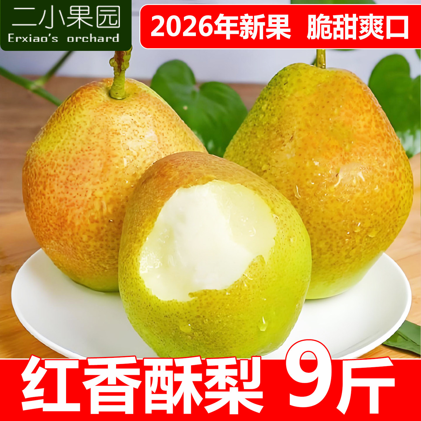 红香酥梨子9斤新鲜运城脆甜多汁