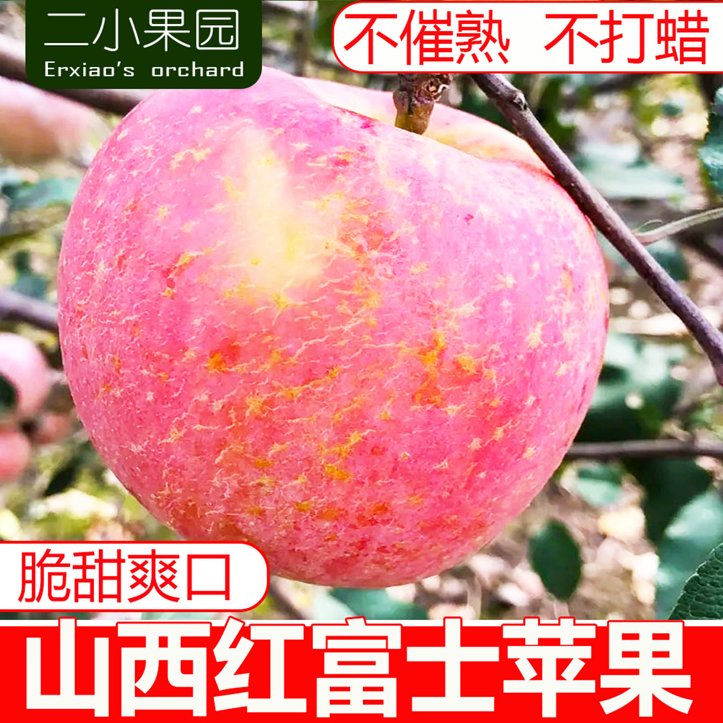 红富士苹果水果新鲜丑萍平果山西冰糖心脆甜一整箱应当季,水产肉类/新鲜蔬果/熟食,苹果,淘宝优惠券,粉丝福利购,淘宝优惠卷