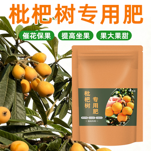 大袋装【枇杷树专用肥】促花保果枇杷树肥料枇杷专用肥颗粒有机肥
