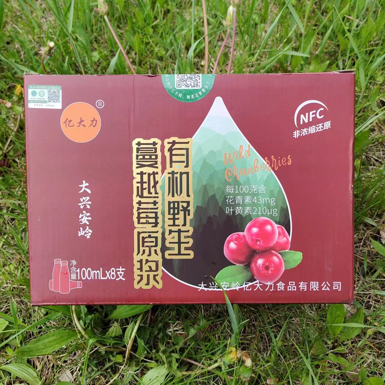 大兴安岭亿大力野生蔓越莓原浆鲜果压榨出汁无防腐剂新货