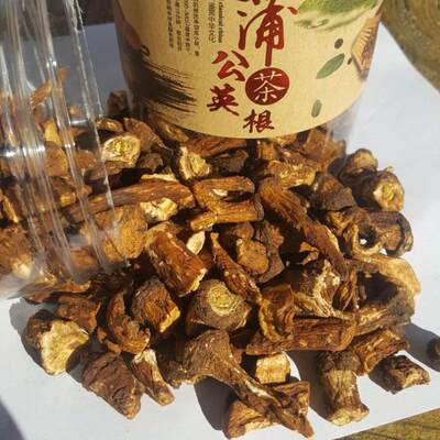 野生散装蒲公英根茶自然晾干