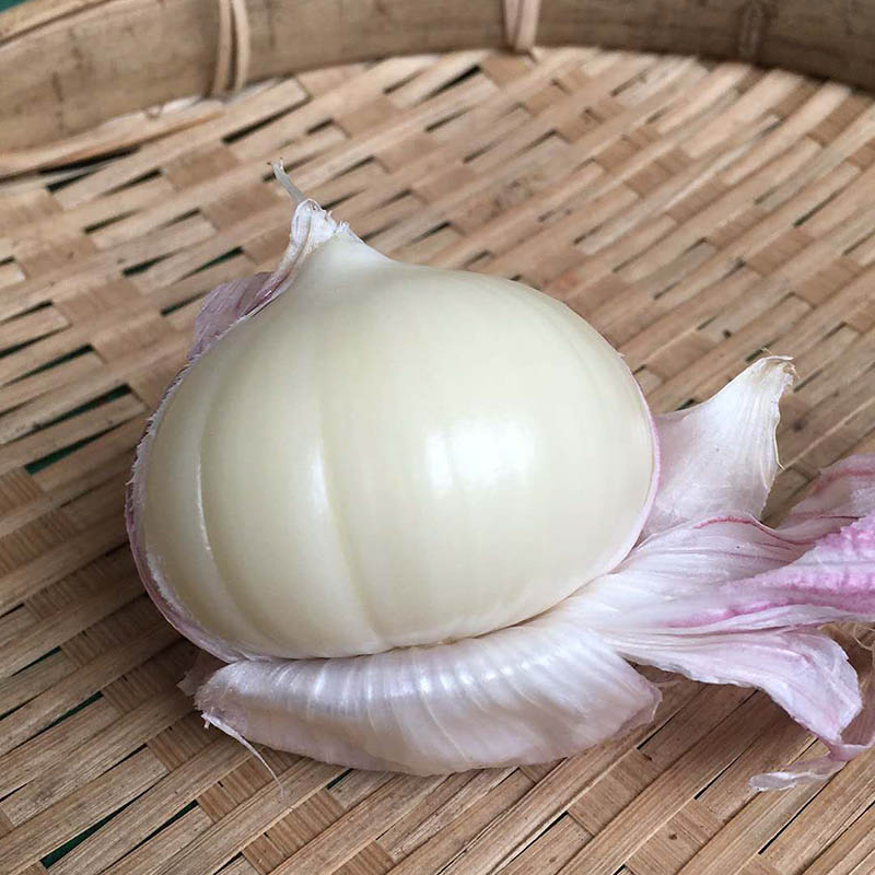 正宗紫皮大蒜新蒜云南紫皮独头蒜干蒜头新鲜独蒜头大黑蒜干蒜5斤
