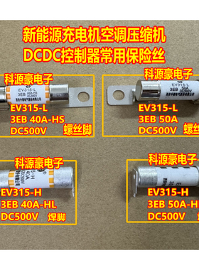 EV315-L H 3EB 50A 40A 30A 20A 500V新能源充电机保险丝