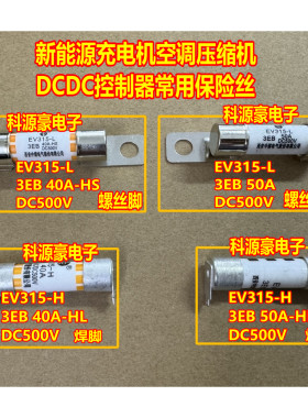 EV315-L EV315-H 3EB 50A 40A 30A 20A 500V 新能源充电机保险丝