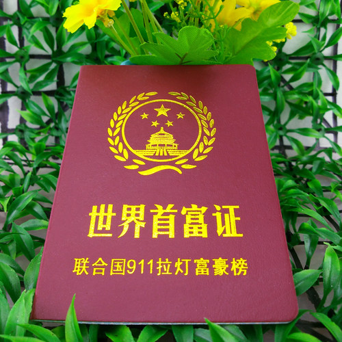 世界首富证 搞笑证书 个性创意 整蛊恶搞 搞怪礼品 千奇百怪礼物 - 封面