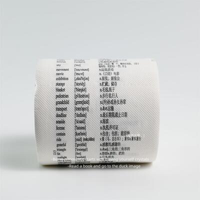 无聊了 坐在马桶上记英语单词 英文卷纸 创意恶搞卫生纸 生日礼物