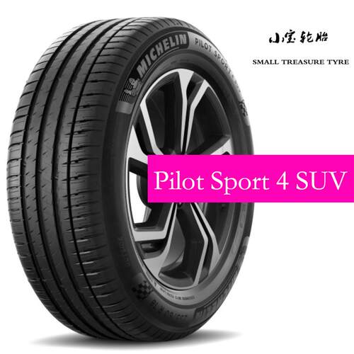 米其林285/45R22325/40R22PS4