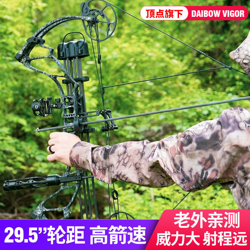 顶点旗下品牌daibow vigor高速复合弓户外健身娱乐竞技弓箭套装