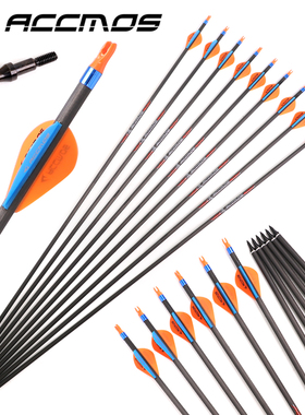 ACCMOS专业射箭箭头箭矢成年运动户外4.2/6.2内径千一直度成品箭