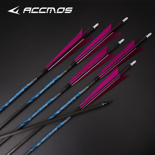 6.2内径5英寸尖刀纯碳弓箭6支