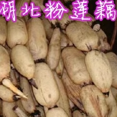 湖北武汉特产煲汤粉藕面藕蔡甸莲藕原生态食材鲜蔬4斤装