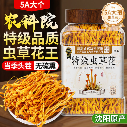 头茬大孢子头】农科院特级虫草花