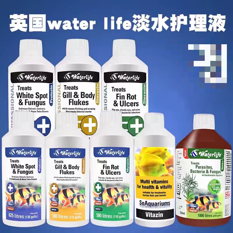 waterlife眼膜发白鳞片翘起蹭缸