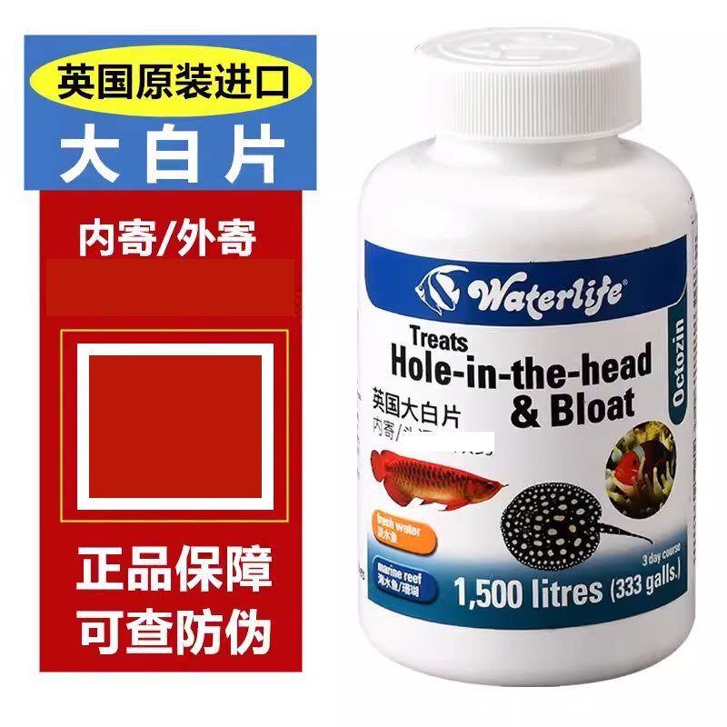 英国大白片头洞拖便白便外寄内寄