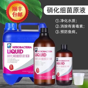 鱼缸龙鱼水稳酸奶维生素益生菌鱼用肠炎药鱼缸用水族营养液维生素