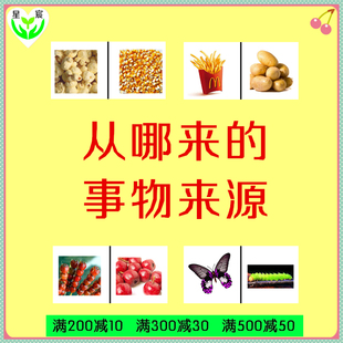 从哪里来的 事物来源 自闭症 发育迟缓 孤独症 特教教具 训练卡片