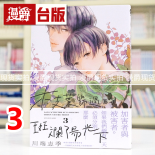 现货 漫爵 枝叶筛过的斑斓阳光下3 台版漫画书 东贩 川端志季 翱翔于天际的夜鹰作者 进口原版