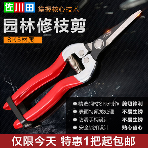 果枝剪修花枝剪葡萄采果剪稀果剪柑橘子火龙果采摘用摘果剪刀