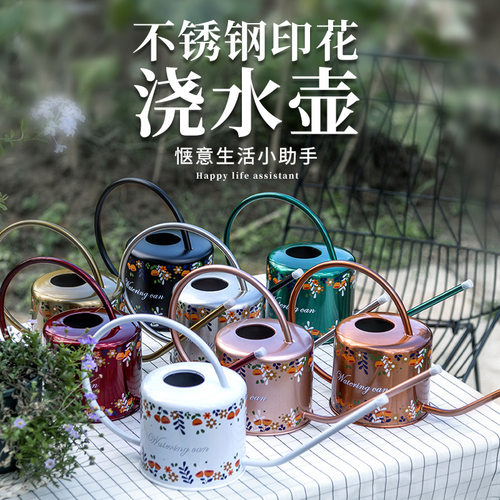 家用园艺长嘴不锈钢浇水壶淋花壶创意小型洒水壶浇花植物veilv