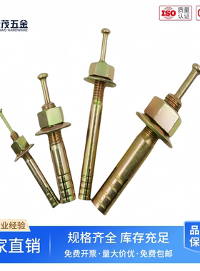 举升机膨胀螺丝一钉得击芯膨胀螺丝敲击式膨胀螺栓锤击壁虎膨胀栓
